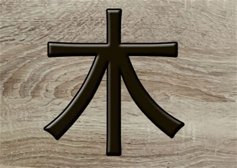 八字木多的人|八字木多的人命运如何 八字木多的人有什么特点